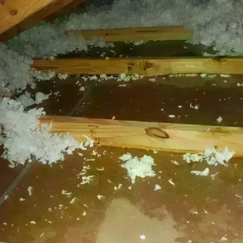 Attic Water Damage in Kings Park, VA