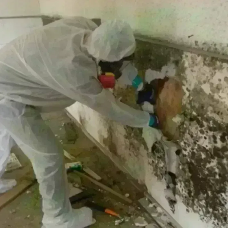 Mold Remediation and Removal in Kings Park, VA